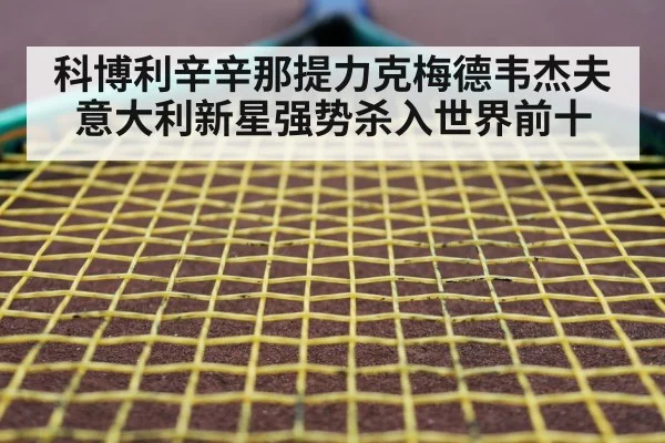 tennis racket closeup